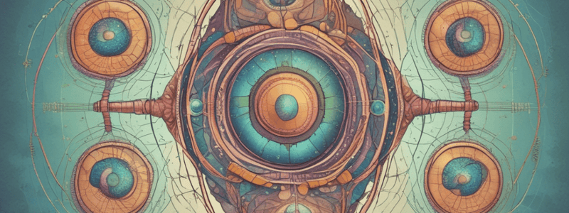 Cell Cycle and Division