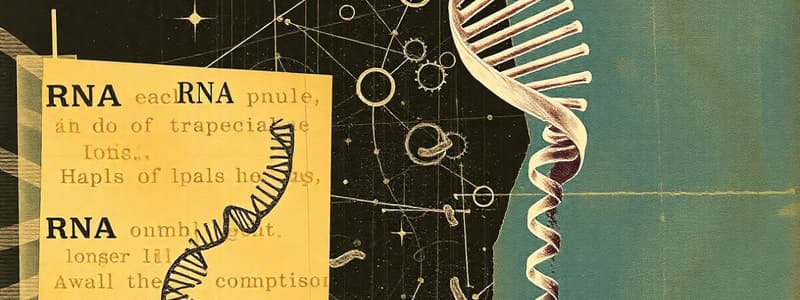 RNA vs DNA: Similarities, Differences and Types