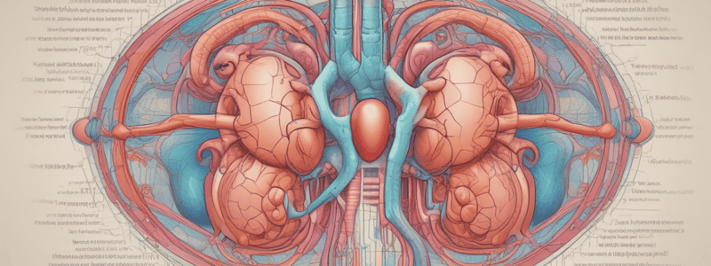 Kidney Physiology Quiz