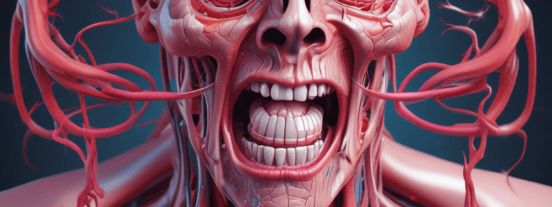 Oral Cavity Anatomy Quiz