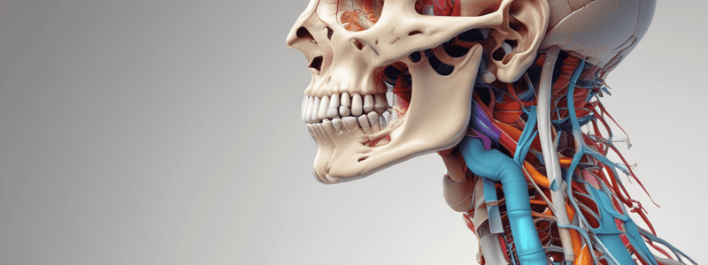 BMS Anatomy Lecture 10: Elbow, Radioulnar, and Hand Joints