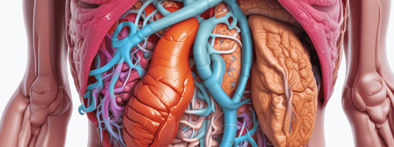 Digestive System Structure and Function Quiz