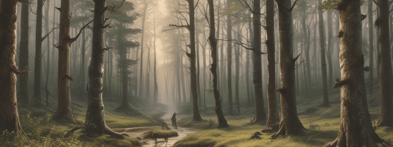 Poem Analysis: The Road Not Taken by Robert Frost