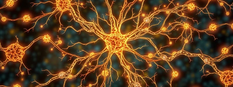 Neurobiology: Nerve Action Potential Overview