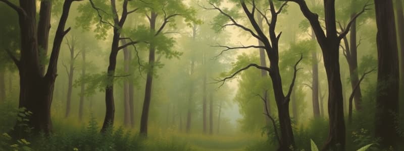 Ökosystem Wald: Biotop, Biozönose & Gleichgewicht