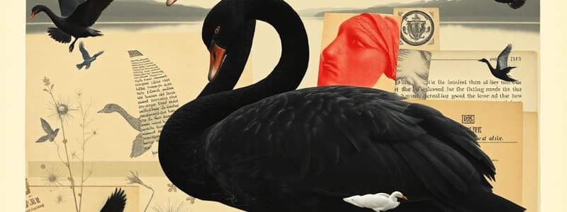 Nassim Taleb - Black Swan I