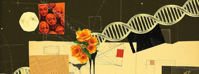 RNA Processing and 5' Capping