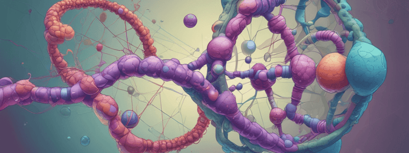 dna replication cytogen