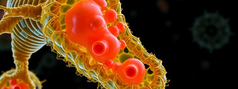Apparato di Golgi e lisosomi