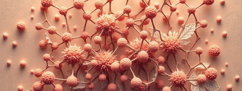 Macromoléculas: Carbohidratos y Funciones