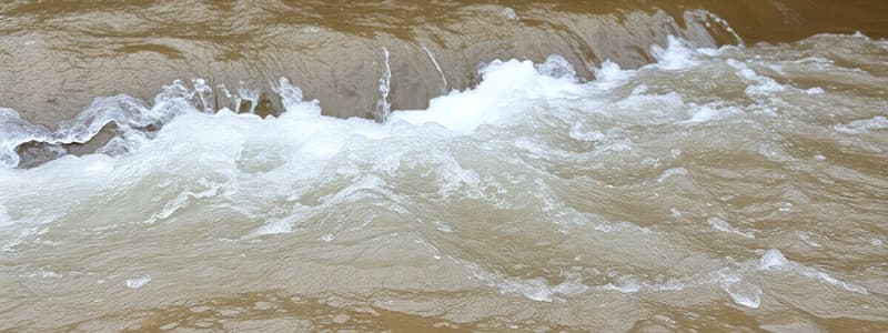 Understanding Runoff Formation and Factors