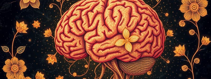 Overview of Neuroscience Concepts