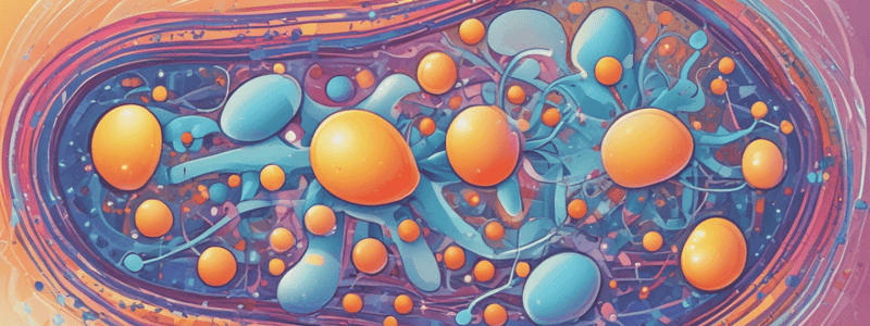 Oxidative Phosphorylation and ATP Synthesis