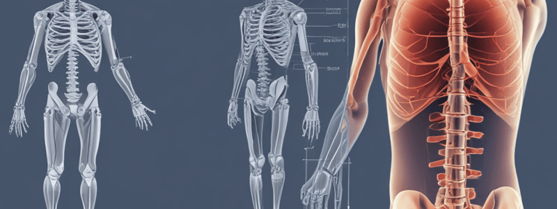 X-ray Imaging Principles and Applications