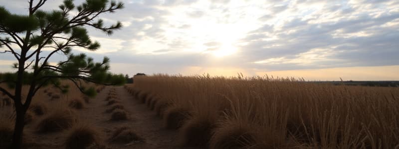 Klimatologie: Wetter und Klima Grundlagen