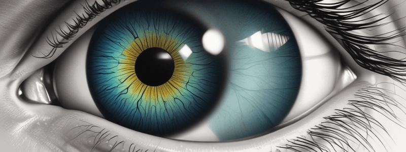 Cornea and Corneal Problems in Optometry