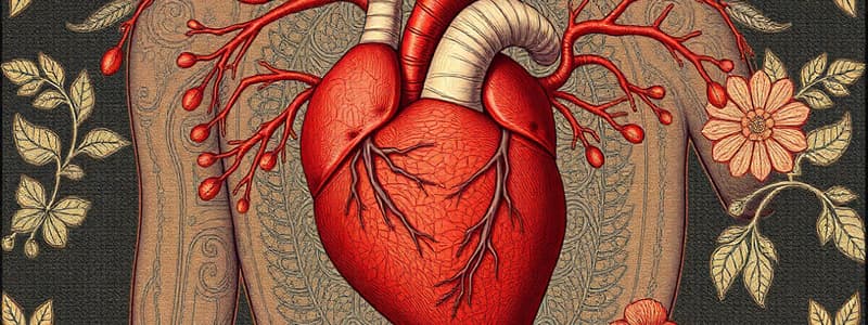 Cardiovascular System Overview