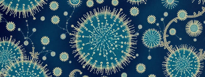 Epithelial Cell Structure Quiz