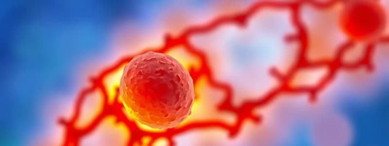 Cell Cycle Overview and Interphase Details