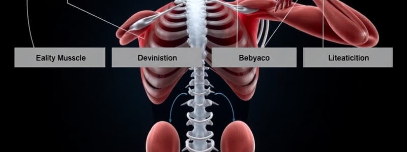 Muscle Types and Properties