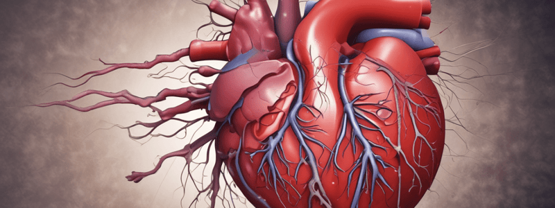 Anatomy. Cardiovascular System.  Quiz 1