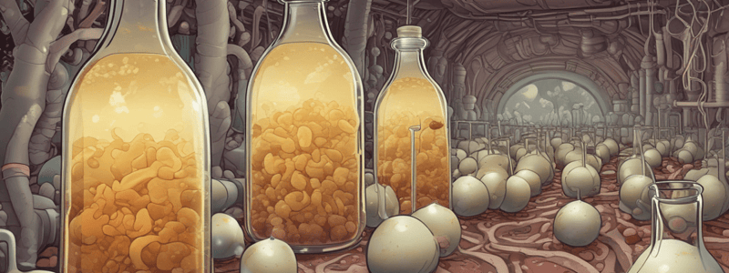 Yeast Fermentation Process