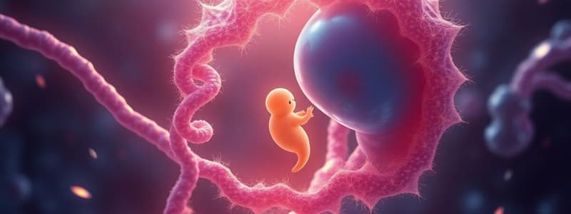 Gene Regulation and Embryonic Development Quiz