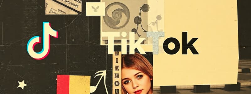 Key Facts on TikTok's Impact