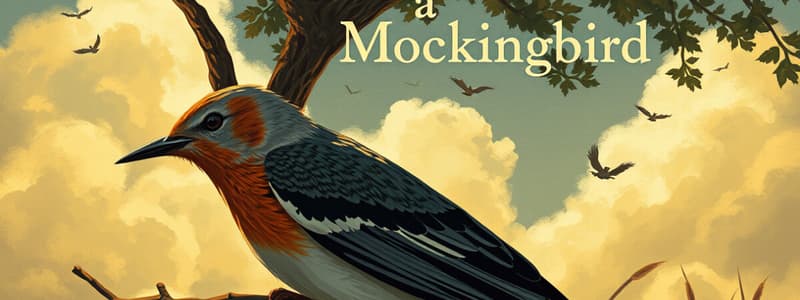 To Kill a Mockingbird Chapter 26-27 Quiz