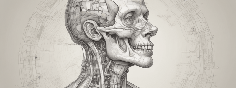 Introduction to Voice Disorders and Anatomy