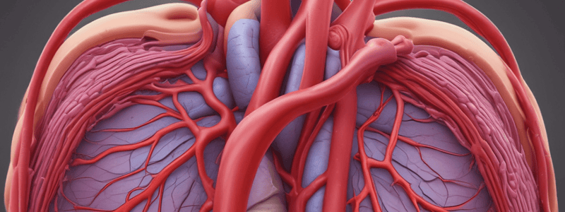 Coronary Arteries Anatomy Quiz