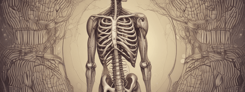 Excretory System Organs