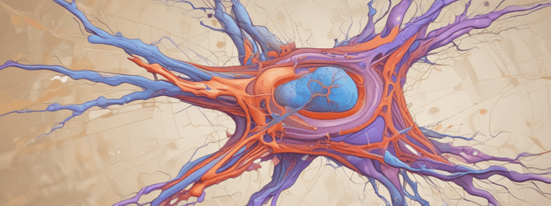 Rheumatology Exam Three Study Guide