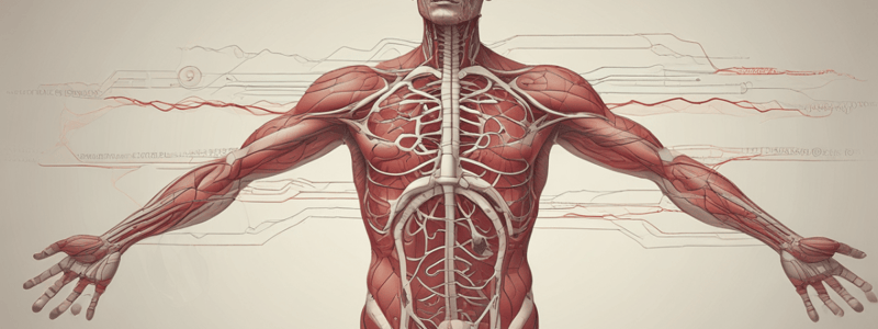 Circulatory System Basics