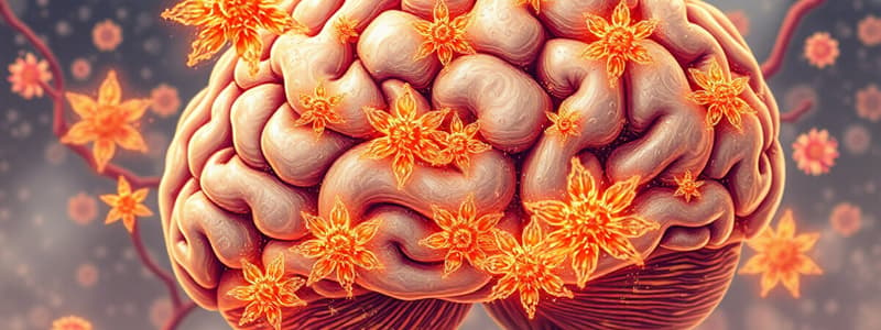 Ionotropic Glutamate Receptors Overview