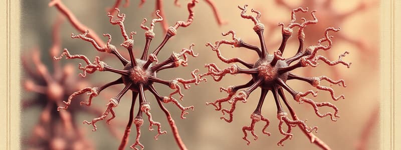 Microbiology: N. meningitis vs N. gonorrhoeae