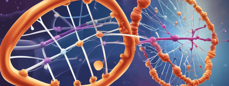 DNA structure and replication