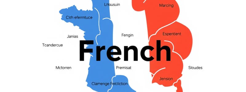 French Vocabulary Basics