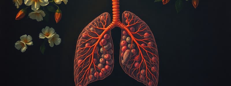 D2.1 - Structures of the Respiratory System