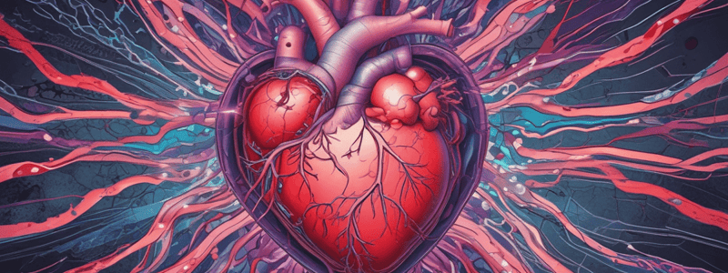 Heart Contraction Overview