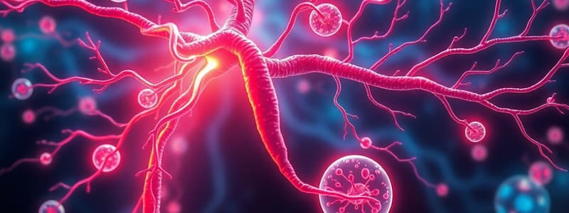 Sympathetic vs Parasympathetic Nervous System