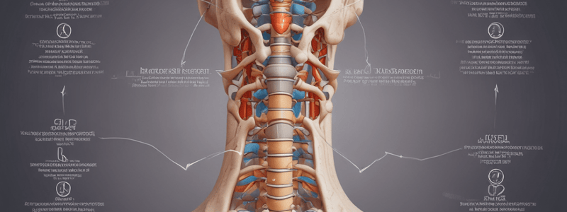 Traumatología Tema 16: Algias Vertebrales