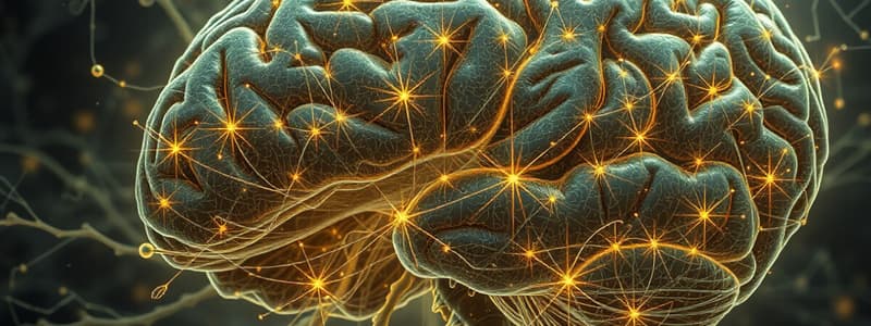 Clinical Neuroscience Week 5 - Spinal Cord Descending Pathways