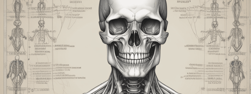 Skeletal System: Joint Classification, Bone Structure, and Cartilage Function