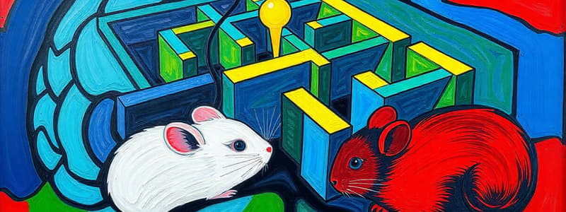 Transcranial Magnetic Stimulation & Rat Experiments