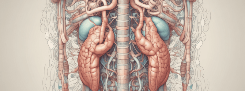 Medical Terminology: Gastrointestinal System