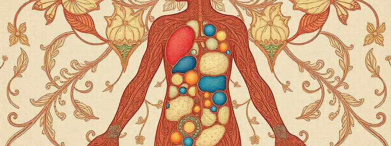 Biology: Body Organization and Fluid Compartments