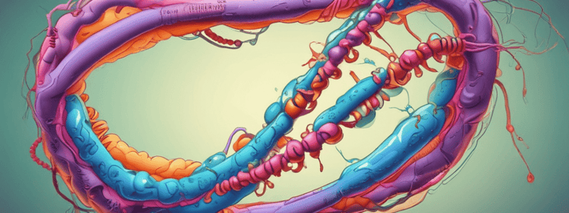 Biology of Immortality: Telomeres and Telomerase