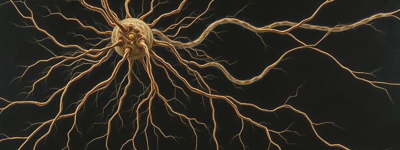 Neurociencia: Estructura de Neuronas