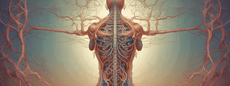 Autonomic Nervous System Introduction